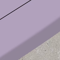 カラー 7